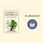 From Burnout to Breakthrough Audiobook cover for Christian burnout healing